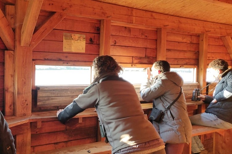 RNR Massé Foucault obs Massé - PNR Brenne