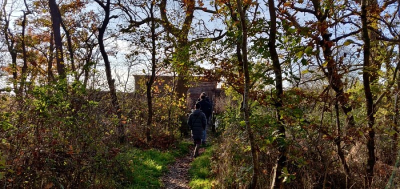 RNR Massé Foucault obs Massé-PNR Brenne