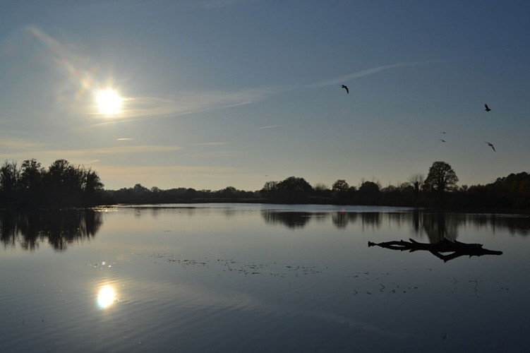 RNR Massé-Foucault obs Massé- PNR Brenne
