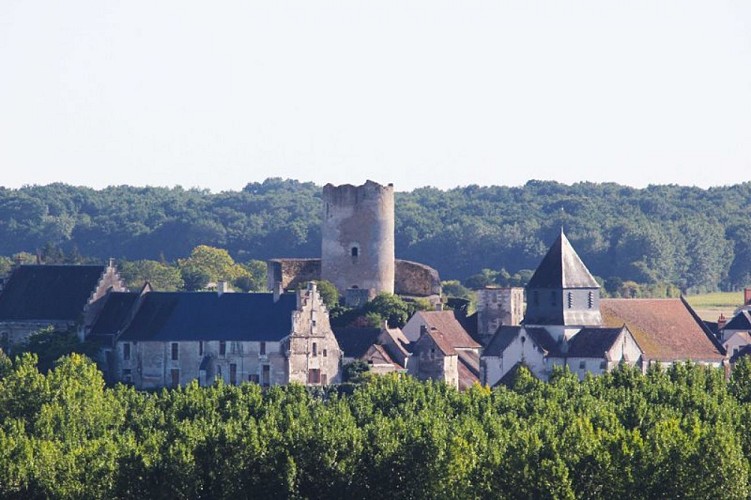 Cité médiévale de Châtillon