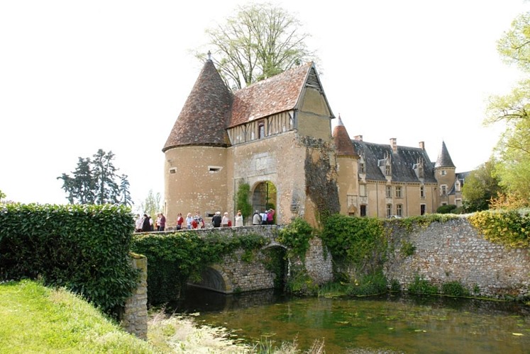 Château et donjon Lys saint Georges
