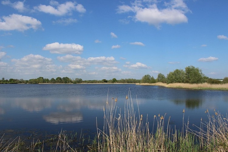 étang Neuf 2 - Domaine du Plessis