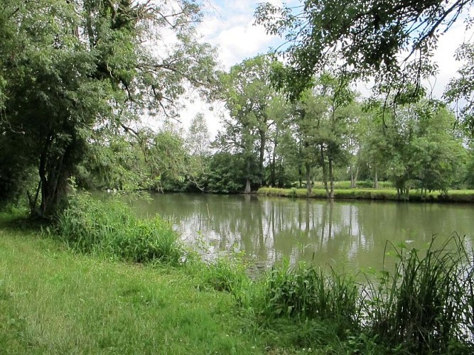 Les prairies de l'Arnon - L'Arnon