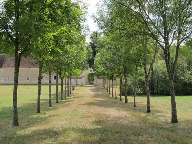 Sentier reliant l'abbaye à l'Arnon