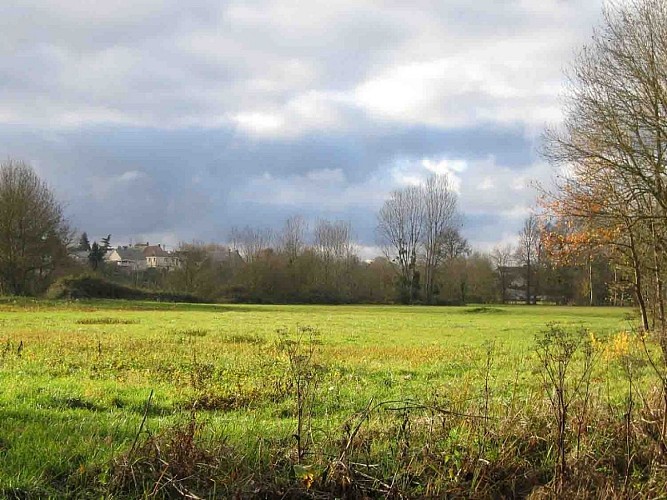 Les prairies près du bourg