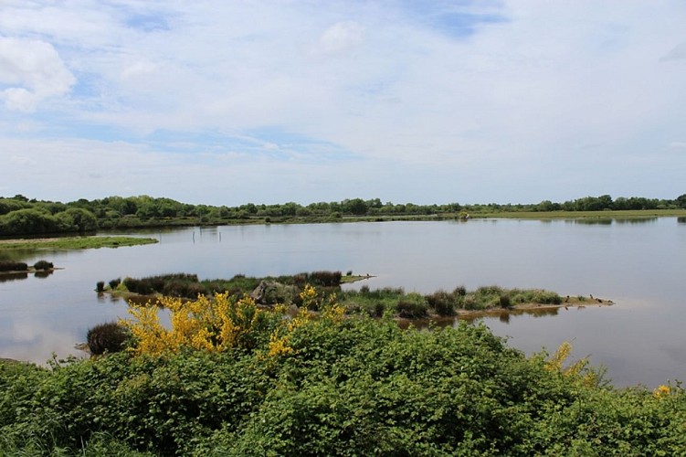 étang Bénisme_VS - PNRB