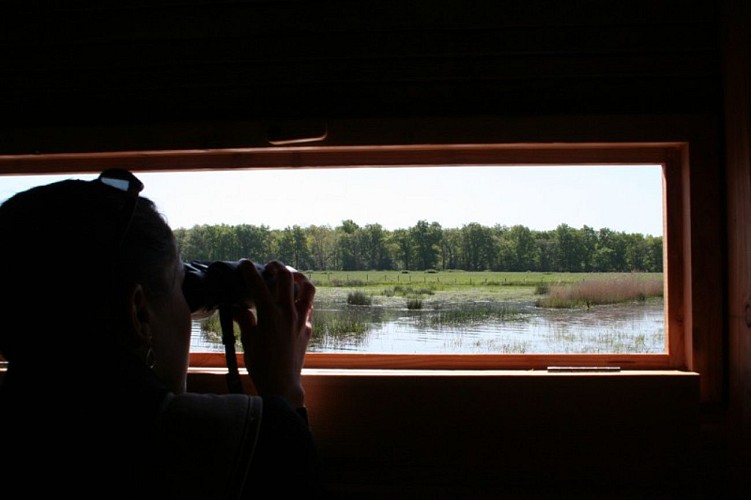 Observatoire Bellebouche
