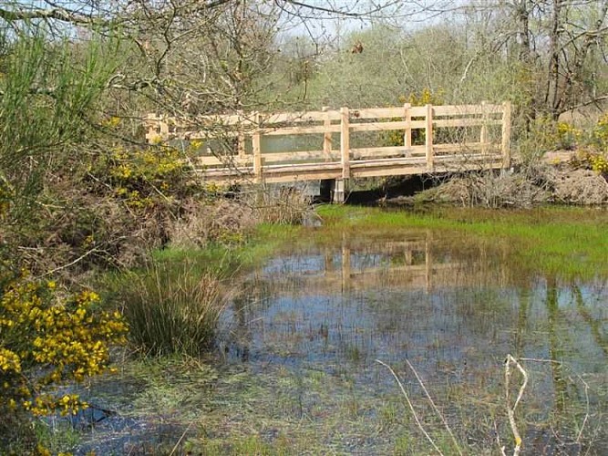 Passerelle Picadon