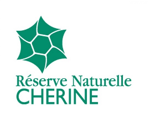 RNN Chérine