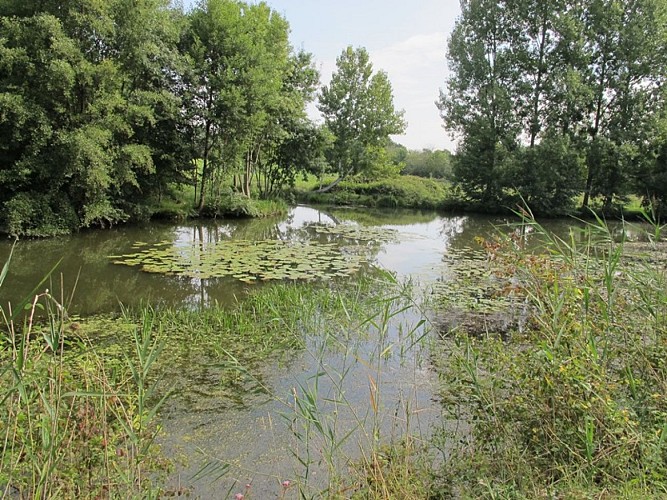 ENS - les prés du canal - Mézières-en-Brenne