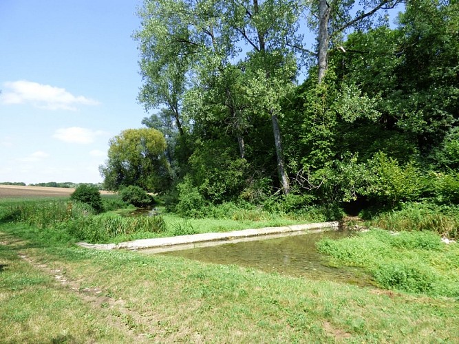 Les sources de la Théols