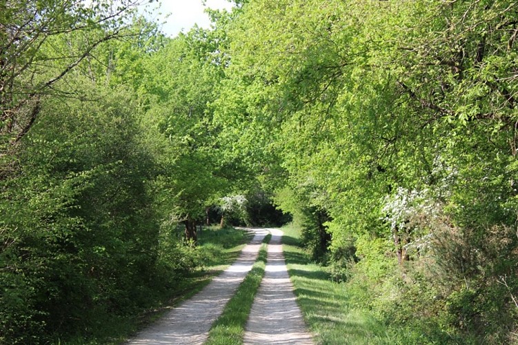 Domaine du Plesseis Migne 1