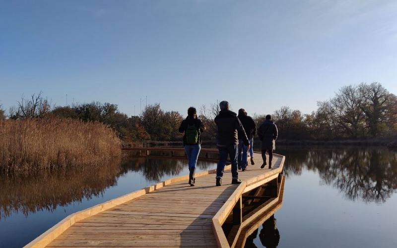 2020-11-30-ReserveMasseFoucault-DB-FConstant (14)