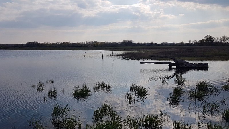 petit  observatoire Foucault5