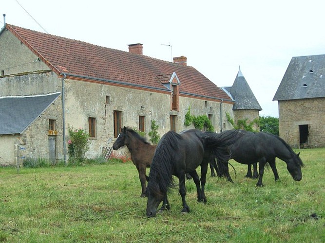 Meublé de tourisme Accueil Paysan n°061 09 001 - 03 08 - 3