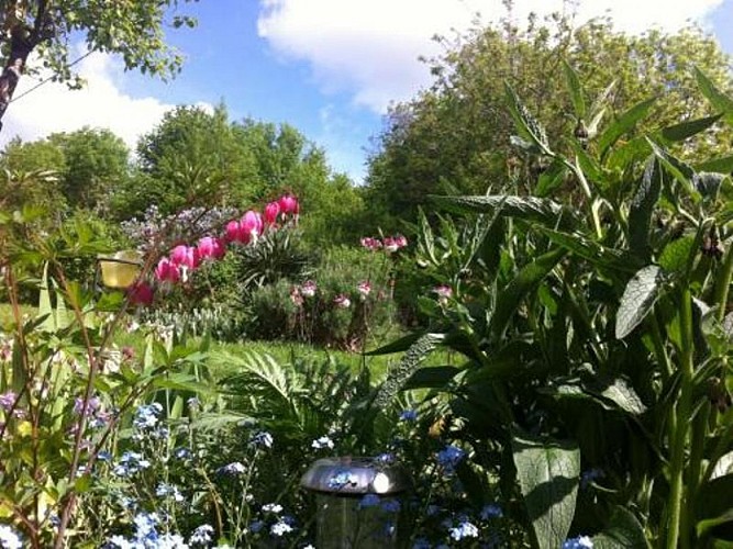 Les-Myosotis---Exterieur2