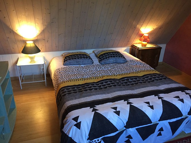 Les Myosotis en Berry