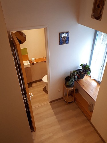 Les Myosotis en Berry