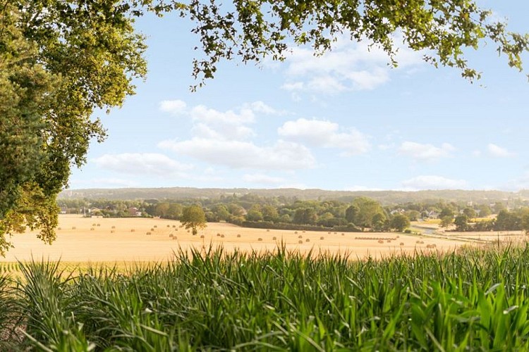 Manoir de Pierre Levée