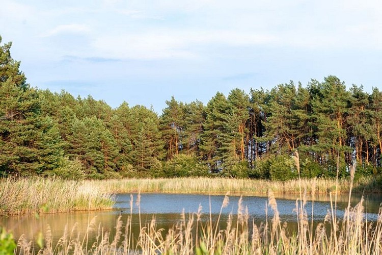 Manoir de Pierre Levée