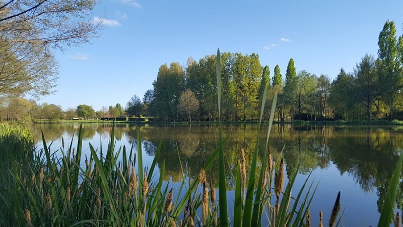 Plan d'eau Ecueillé