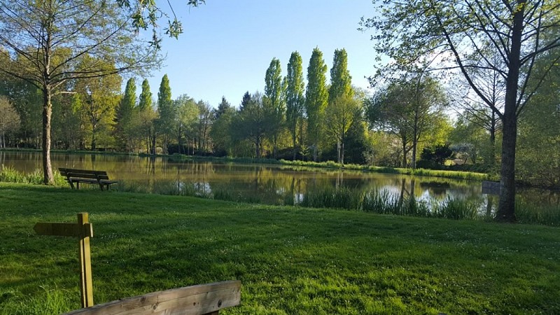 Plan d'eau Ecueillé