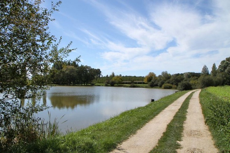 Étang de Pellevoisin