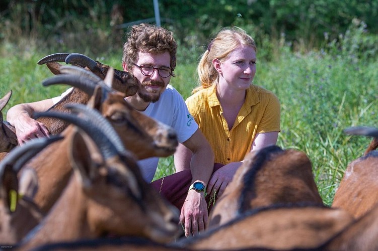 caillonniere paulnay