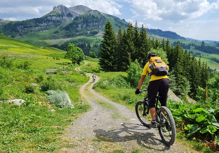 Arav'E-Bike: school and mountain electric bike escapes