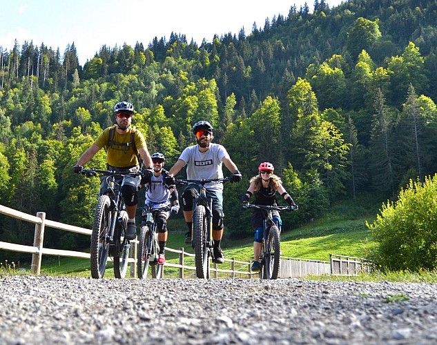 Arav'E-Bike: school and mountain electric bike escapes