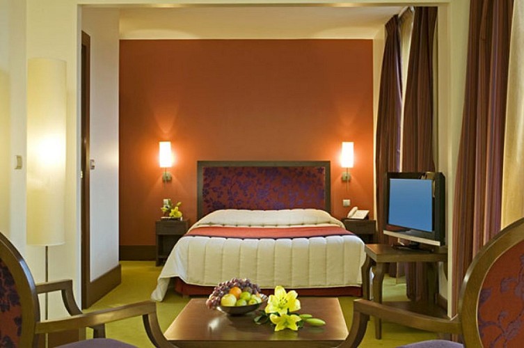 HOTEL DU CASINO LE CLOS REBILLOTTE***_4