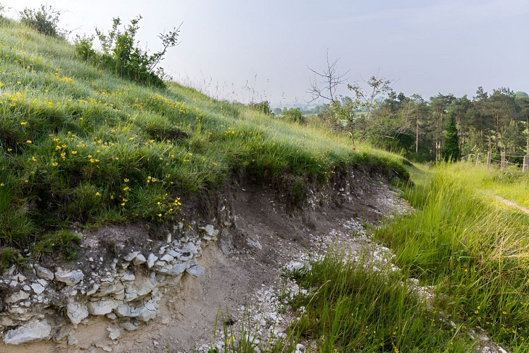 Le côteau calcaire des Monts d'Eraines. / © Thierry Houyel