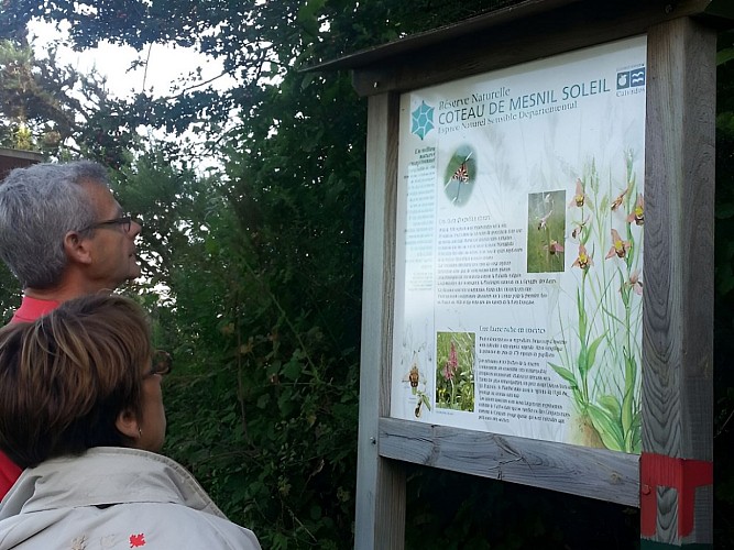 Coteaux de Mesnil-Soleil