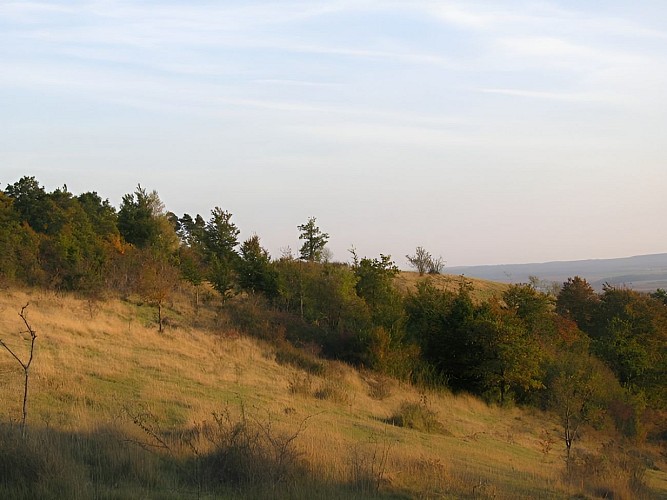 Les monts d'Eraines - Réserve Naturelle Nationale du Côteau de Mesnil-Soleil