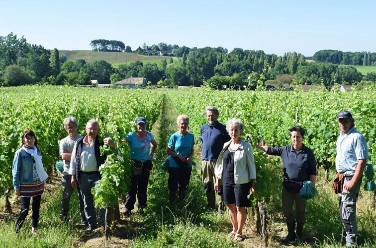 autour_velines-chateau_puy-servain (88)-2