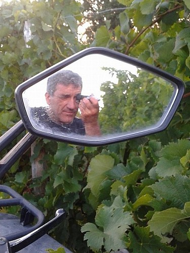 11998922_405483996312436_3363349740864569468_n