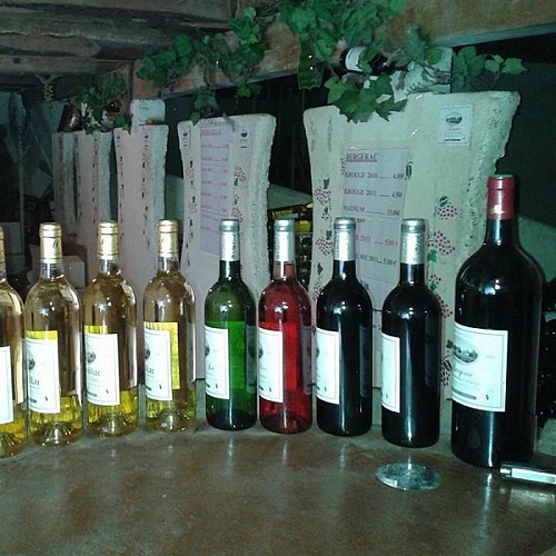 11535916_375655575961945_6070897184202300850_n