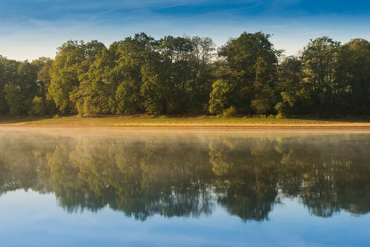 Montaubry_plage des Patins et forêt_automne_2019©oscara-photographe_Creusot Montceau Tourisme83b
