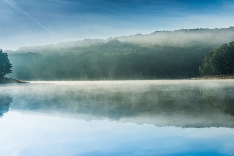 Montaubry_plage des Patins et forêt_automne_2019©oscara-photographe_Creusot Montceau Tourisme77b