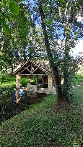 20210630_184527 carsac 4