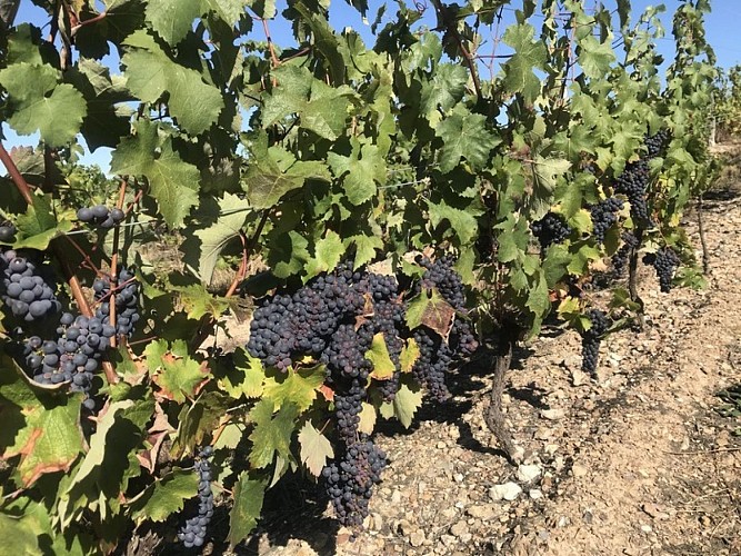 Domaine du Four à Chaux