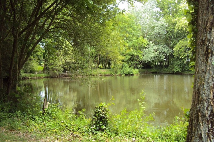 Gîte les Feux Chauds
