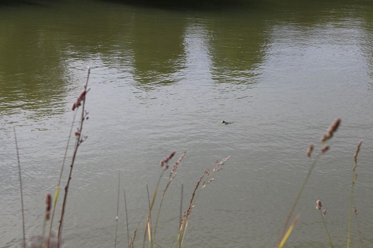 Camping à "La Ferme De Beau Soleil"