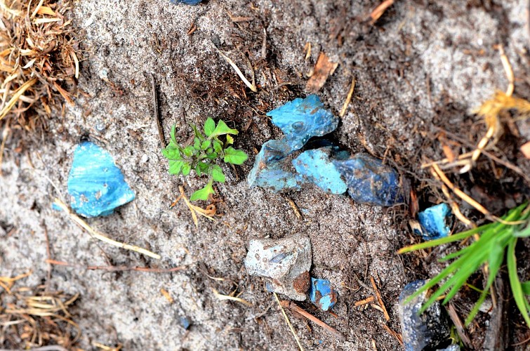 Terra Aventura Ovnicache Chemin des Lapins - Pierre bleue