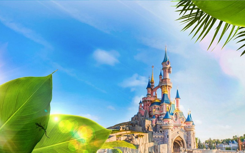 Disneyland Paris Express Shuttle with Tickets