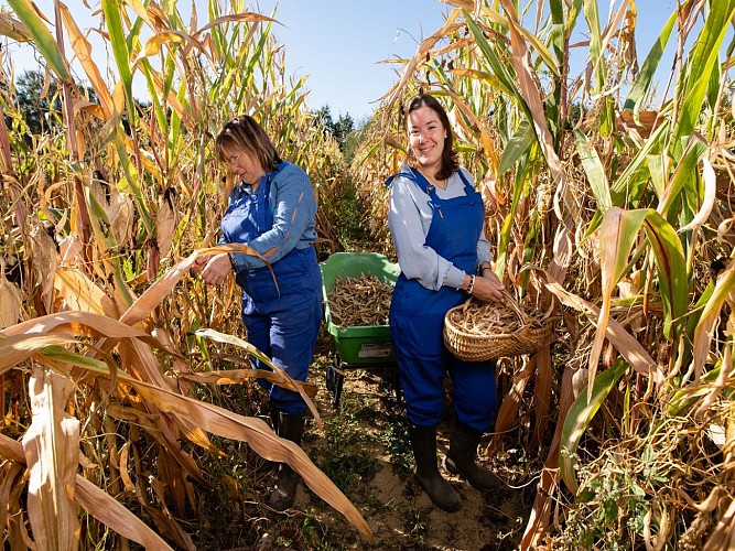 Boueilh-Boueilho -Lasque Les délices de nanou cph Laurent Pascal 2023 (1)
