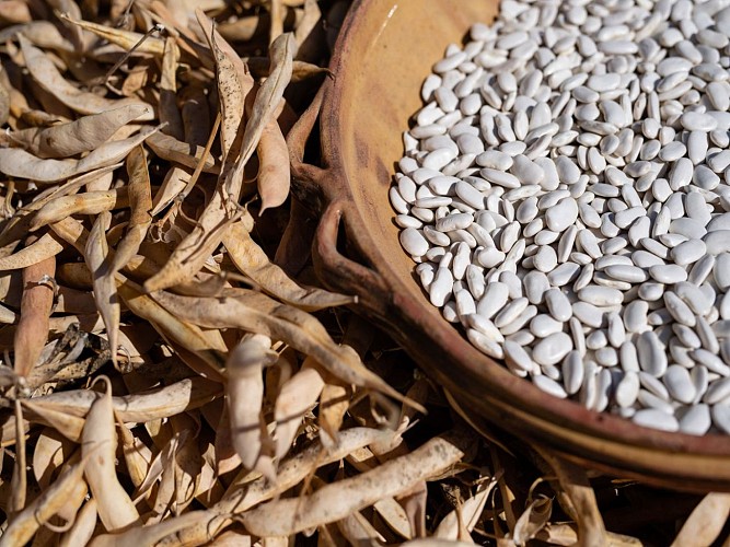 Boueilh-Boueilho -Lasque Les délices de nanou cph Laurent Pascal 2023 (11)