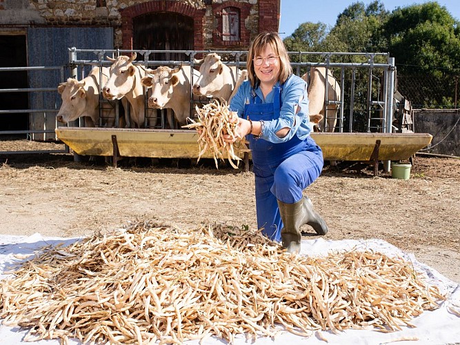 Boueilh-Boueilho -Lasque Les délices de nanou cph Laurent Pascal 2023 (7)
