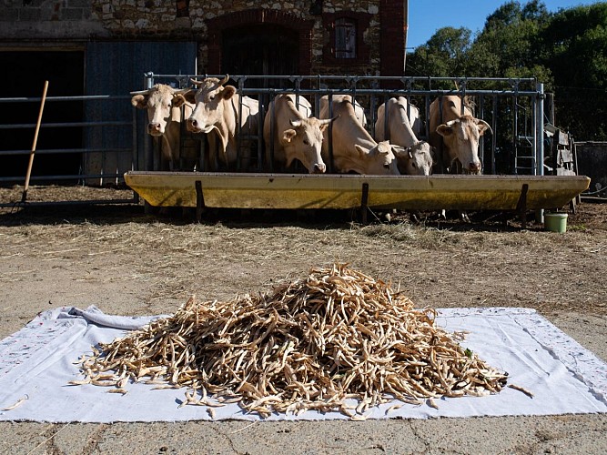Boueilh-Boueilho -Lasque Les délices de nanou cph Laurent Pascal 2023 (5)