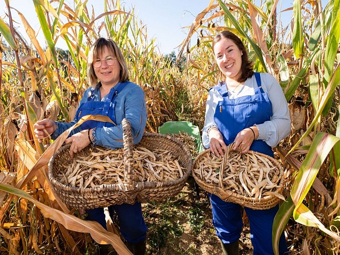 Boueilh-Boueilho -Lasque Les délices de nanou cph Laurent Pascal 2023 (2)